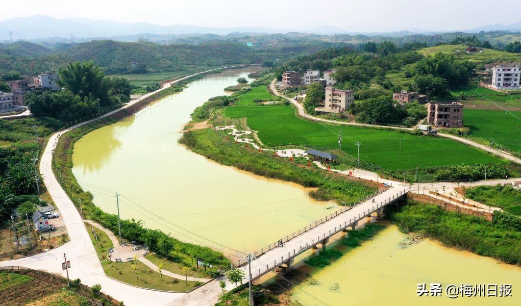 广东省白鳝养殖，产业现状与发展前景